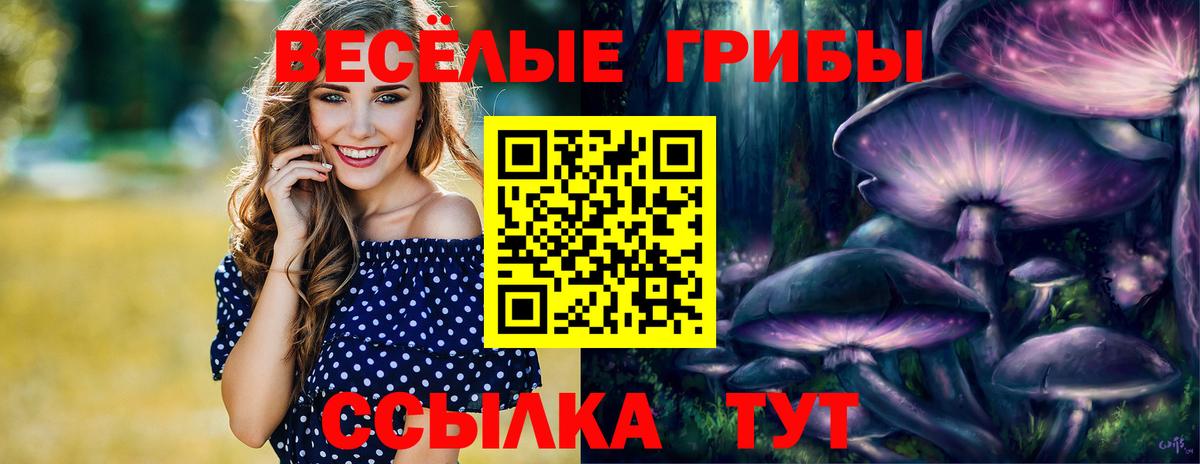Галлюциногенные грибы Magic Shrooms  Вход с VPN  Галлюциногенные грибы прущие грибы  Урюпинск 